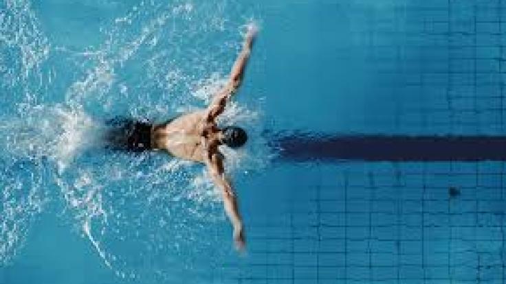 images (62)-ZeYdenuIJh.jpg